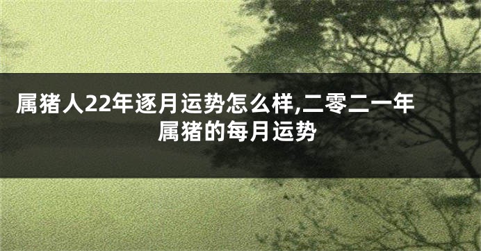 属猪人22年逐月运势怎么样,二零二一年属猪的每月运势