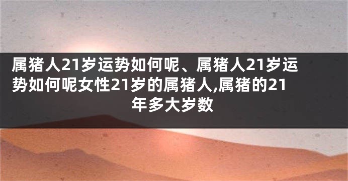 属猪人21岁运势如何呢、属猪人21岁运势如何呢女性21岁的属猪人,属猪的21年多大岁数