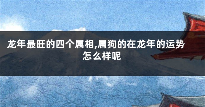 龙年最旺的四个属相,属狗的在龙年的运势怎么样呢