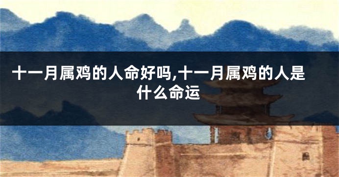 十一月属鸡的人命好吗,十一月属鸡的人是什么命运