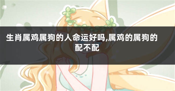 生肖属鸡属狗的人命运好吗,属鸡的属狗的配不配