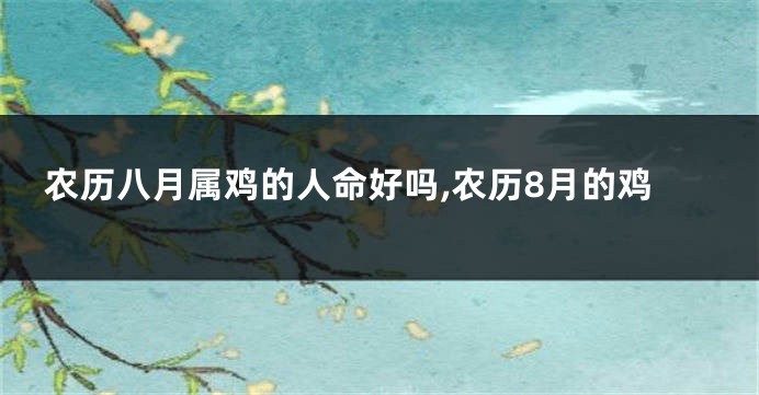 农历八月属鸡的人命好吗,农历8月的鸡