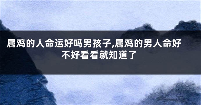 属鸡的人命运好吗男孩子,属鸡的男人命好不好看看就知道了