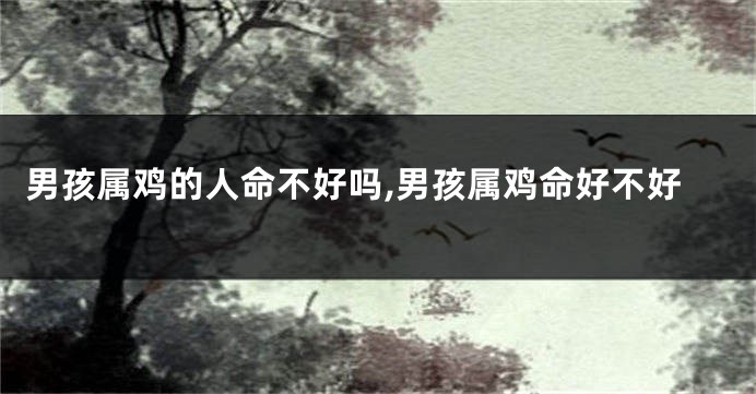 男孩属鸡的人命不好吗,男孩属鸡命好不好