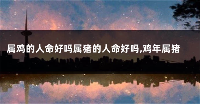 属鸡的人命好吗属猪的人命好吗,鸡年属猪