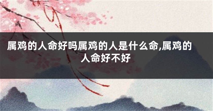 属鸡的人命好吗属鸡的人是什么命,属鸡的人命好不好