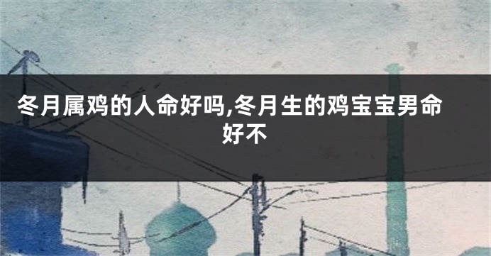 冬月属鸡的人命好吗,冬月生的鸡宝宝男命好不
