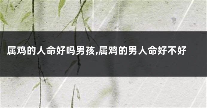 属鸡的人命好吗男孩,属鸡的男人命好不好