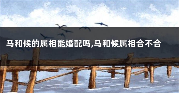 马和候的属相能婚配吗,马和候属相合不合