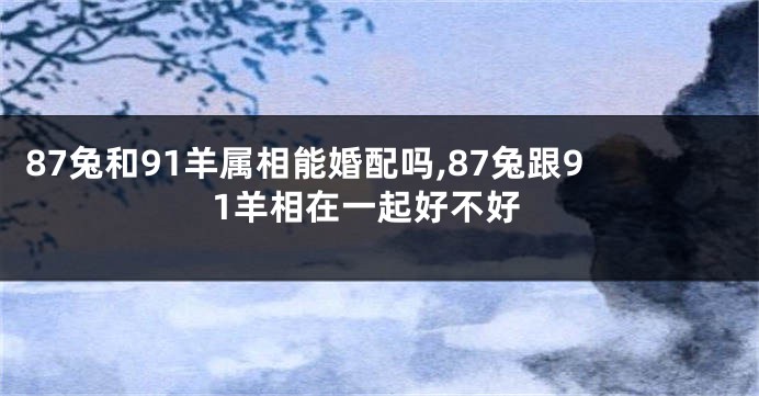 87兔和91羊属相能婚配吗,87兔跟91羊相在一起好不好