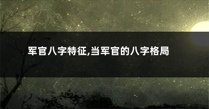 军官八字特征,当军官的八字格局
