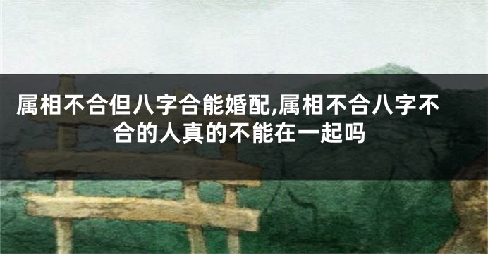 属相不合但八字合能婚配,属相不合八字不合的人真的不能在一起吗