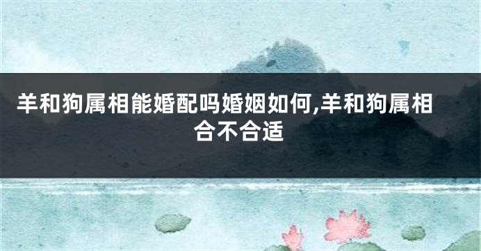 羊和狗属相能婚配吗婚姻如何,羊和狗属相合不合适