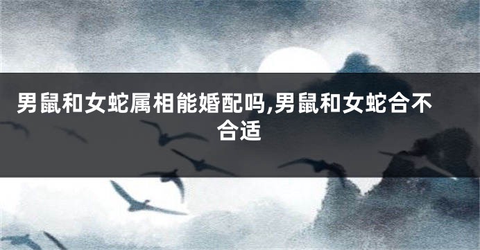 男鼠和女蛇属相能婚配吗,男鼠和女蛇合不合适