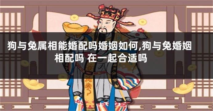 狗与兔属相能婚配吗婚姻如何,狗与兔婚姻相配吗 在一起合适吗