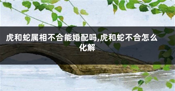 虎和蛇属相不合能婚配吗,虎和蛇不合怎么化解