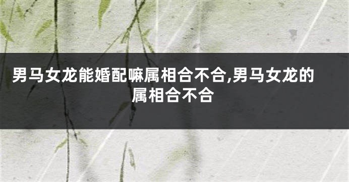 男马女龙能婚配嘛属相合不合,男马女龙的属相合不合