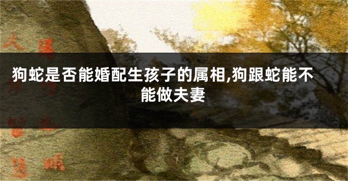 狗蛇是否能婚配生孩子的属相,狗跟蛇能不能做夫妻