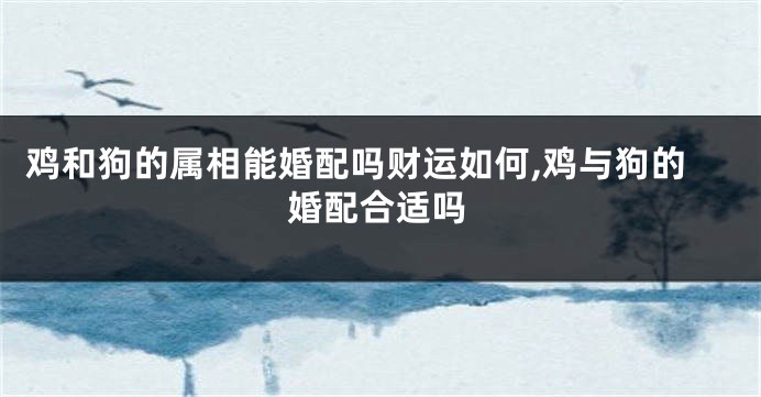 鸡和狗的属相能婚配吗财运如何,鸡与狗的婚配合适吗