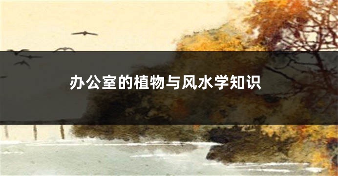 办公室的植物与风水学知识