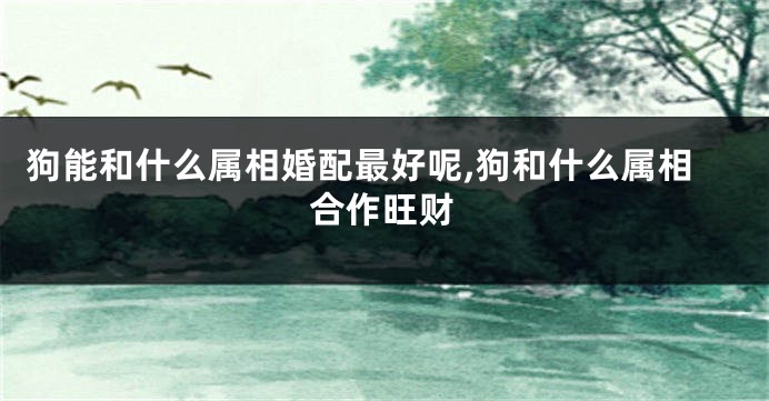 狗能和什么属相婚配最好呢,狗和什么属相合作旺财