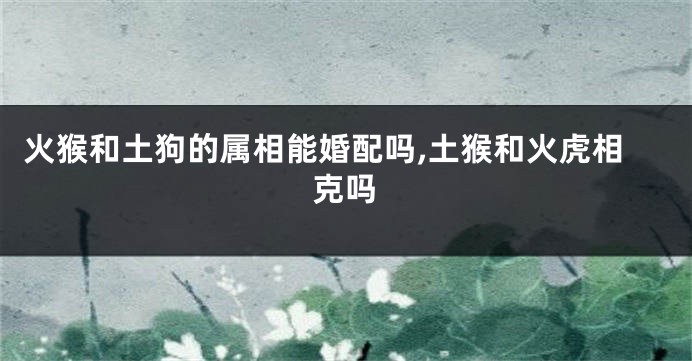 火猴和土狗的属相能婚配吗,土猴和火虎相克吗