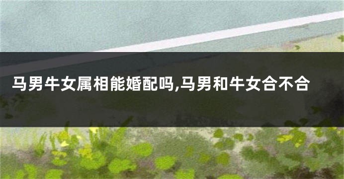 马男牛女属相能婚配吗,马男和牛女合不合