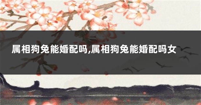 属相狗兔能婚配吗,属相狗兔能婚配吗女