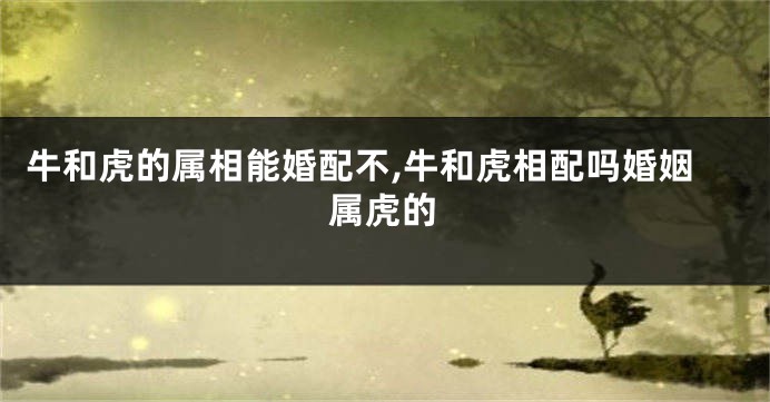 牛和虎的属相能婚配不,牛和虎相配吗婚姻属虎的
