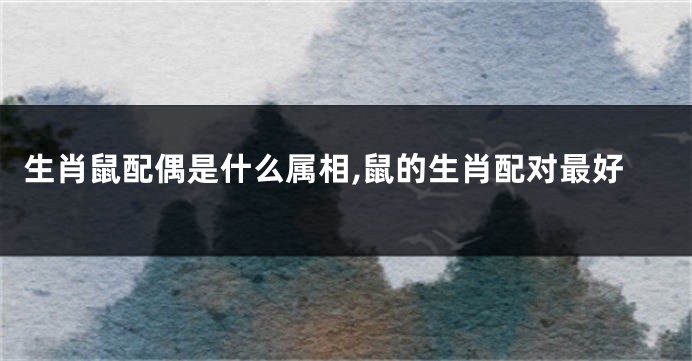 生肖鼠配偶是什么属相,鼠的生肖配对最好