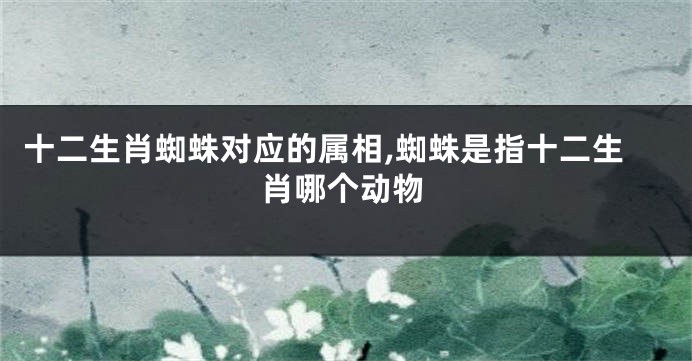 十二生肖蜘蛛对应的属相,蜘蛛是指十二生肖哪个动物