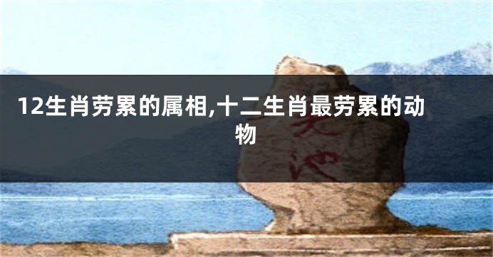 12生肖劳累的属相,十二生肖最劳累的动物