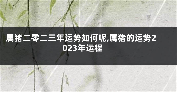 属猪二零二三年运势如何呢,属猪的运势2023年运程