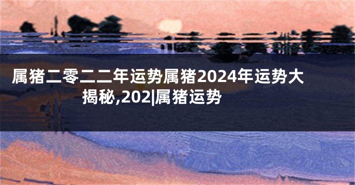 属猪二零二二年运势属猪2024年运势大揭秘,202|属猪运势
