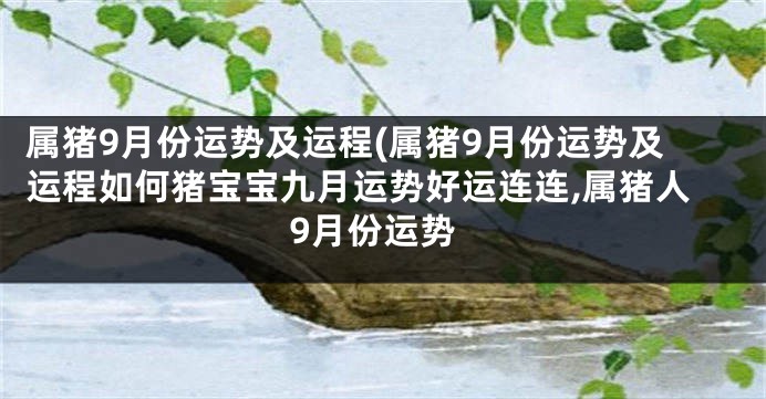 属猪9月份运势及运程(属猪9月份运势及运程如何猪宝宝九月运势好运连连,属猪人9月份运势