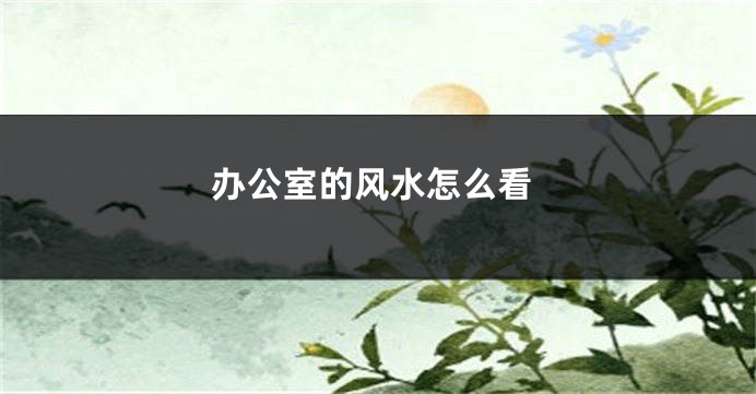 办公室的风水怎么看