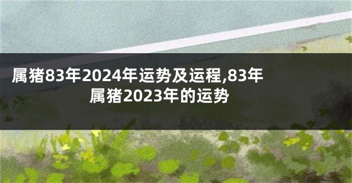 属猪83年2024年运势及运程,83年属猪2023年的运势
