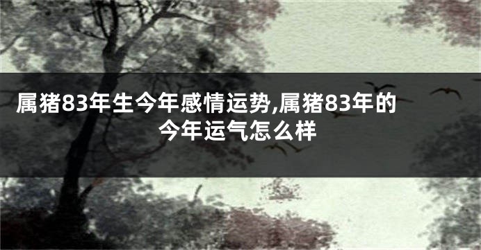 属猪83年生今年感情运势,属猪83年的今年运气怎么样
