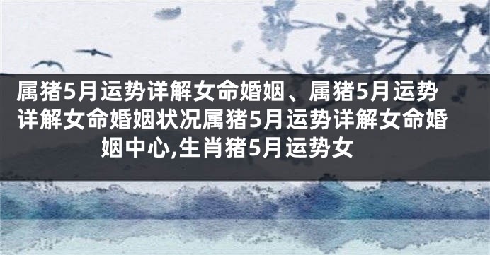 属猪5月运势详解女命婚姻、属猪5月运势详解女命婚姻状况属猪5月运势详解女命婚姻中心,生肖猪5月运势女