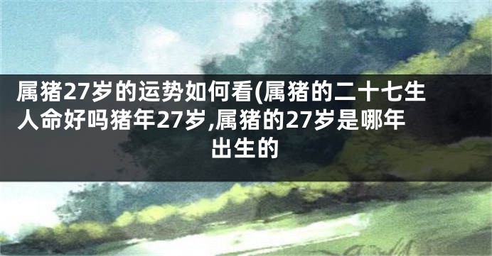 属猪27岁的运势如何看(属猪的二十七生人命好吗猪年27岁,属猪的27岁是哪年出生的