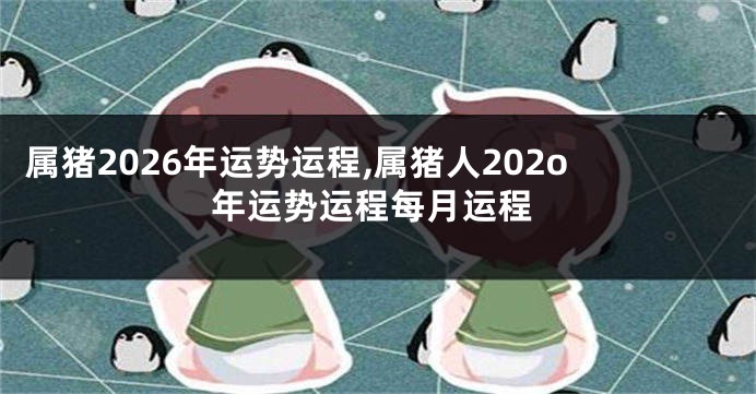 属猪2026年运势运程,属猪人202o年运势运程每月运程