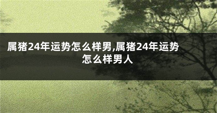 属猪24年运势怎么样男,属猪24年运势怎么样男人