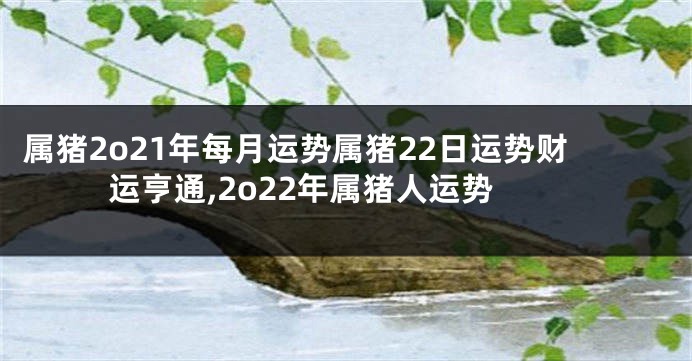属猪2o21年每月运势属猪22日运势财运亨通,2o22年属猪人运势