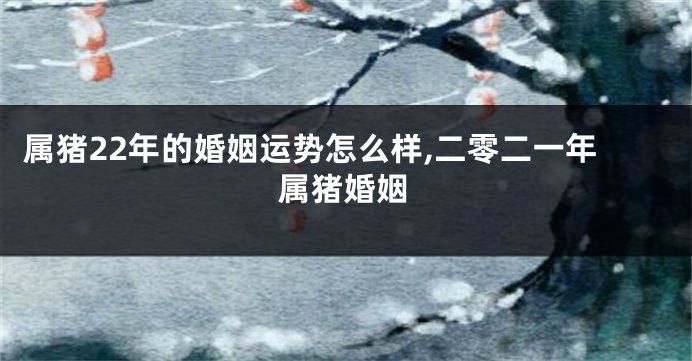 属猪22年的婚姻运势怎么样,二零二一年属猪婚姻