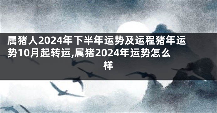 属猪人2024年下半年运势及运程猪年运势10月起转运,属猪2024年运势怎么样