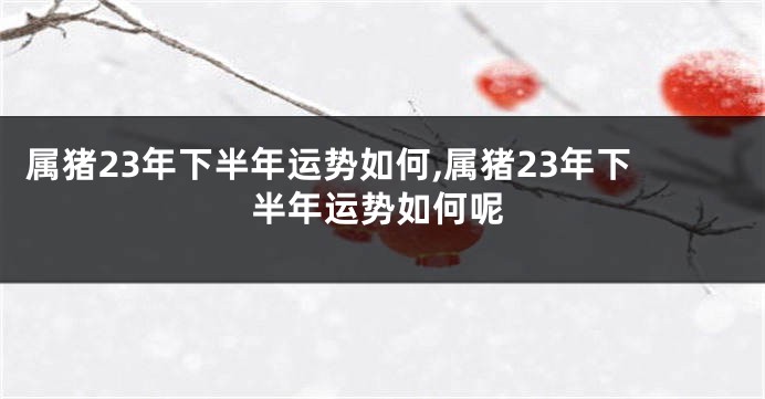 属猪23年下半年运势如何,属猪23年下半年运势如何呢