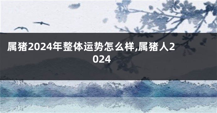 属猪2024年整体运势怎么样,属猪人2024