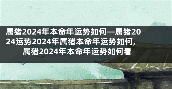 属猪2024年本命年运势如何—属猪2024运势2024年属猪本命年运势如何,属猪2024年本命年运势如何看