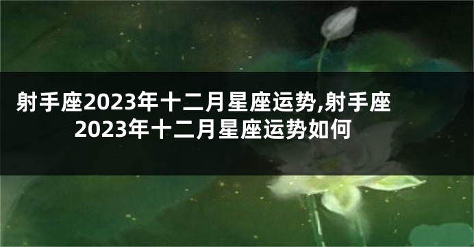 射手座2023年十二月星座运势,射手座2023年十二月星座运势如何