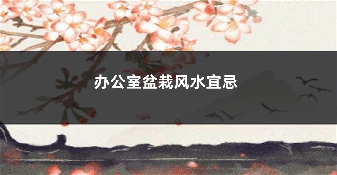 办公室盆栽风水宜忌